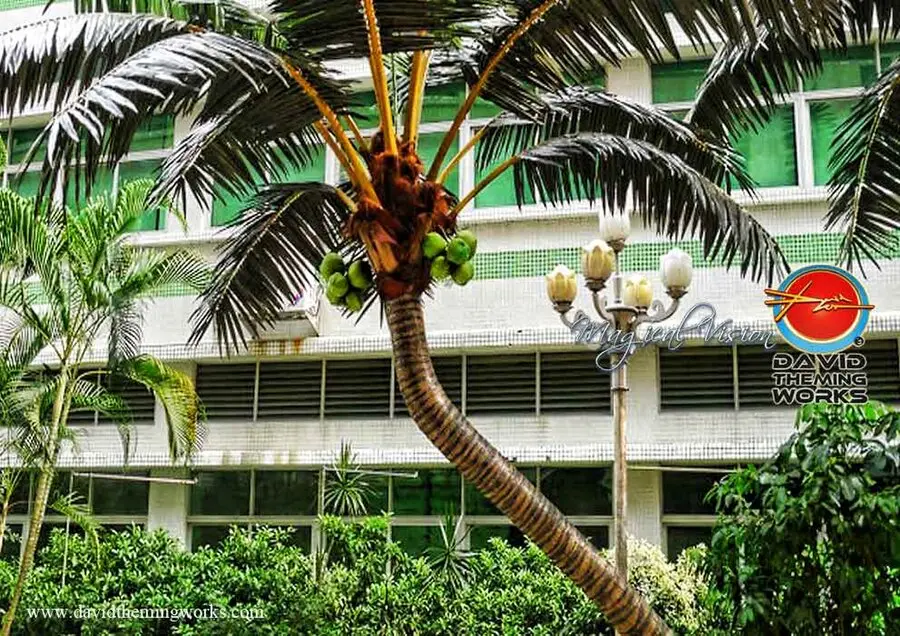 ARTIFICIAL PALM TREE manufacturer