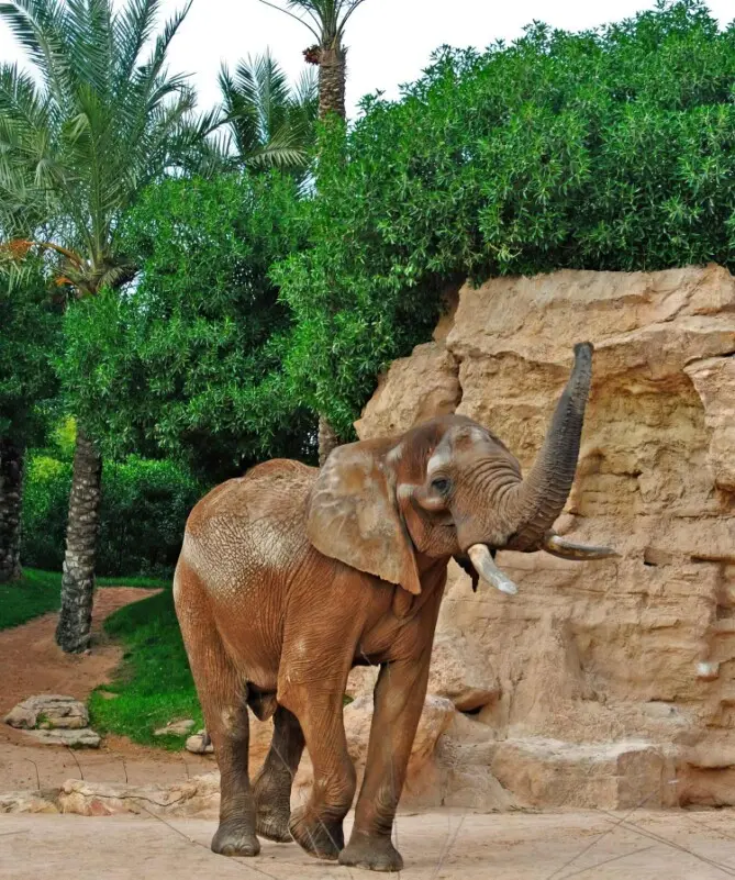 manufacturer of artificial rocks.