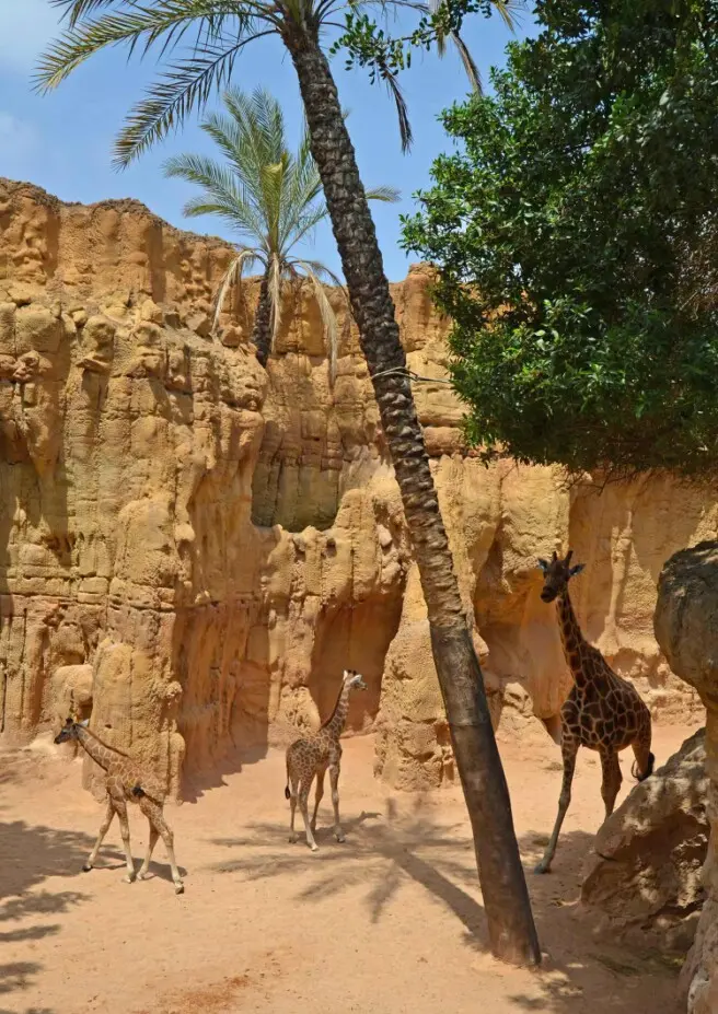 manufacturer of artificial rocks.