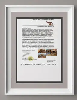 leisure park theming services 