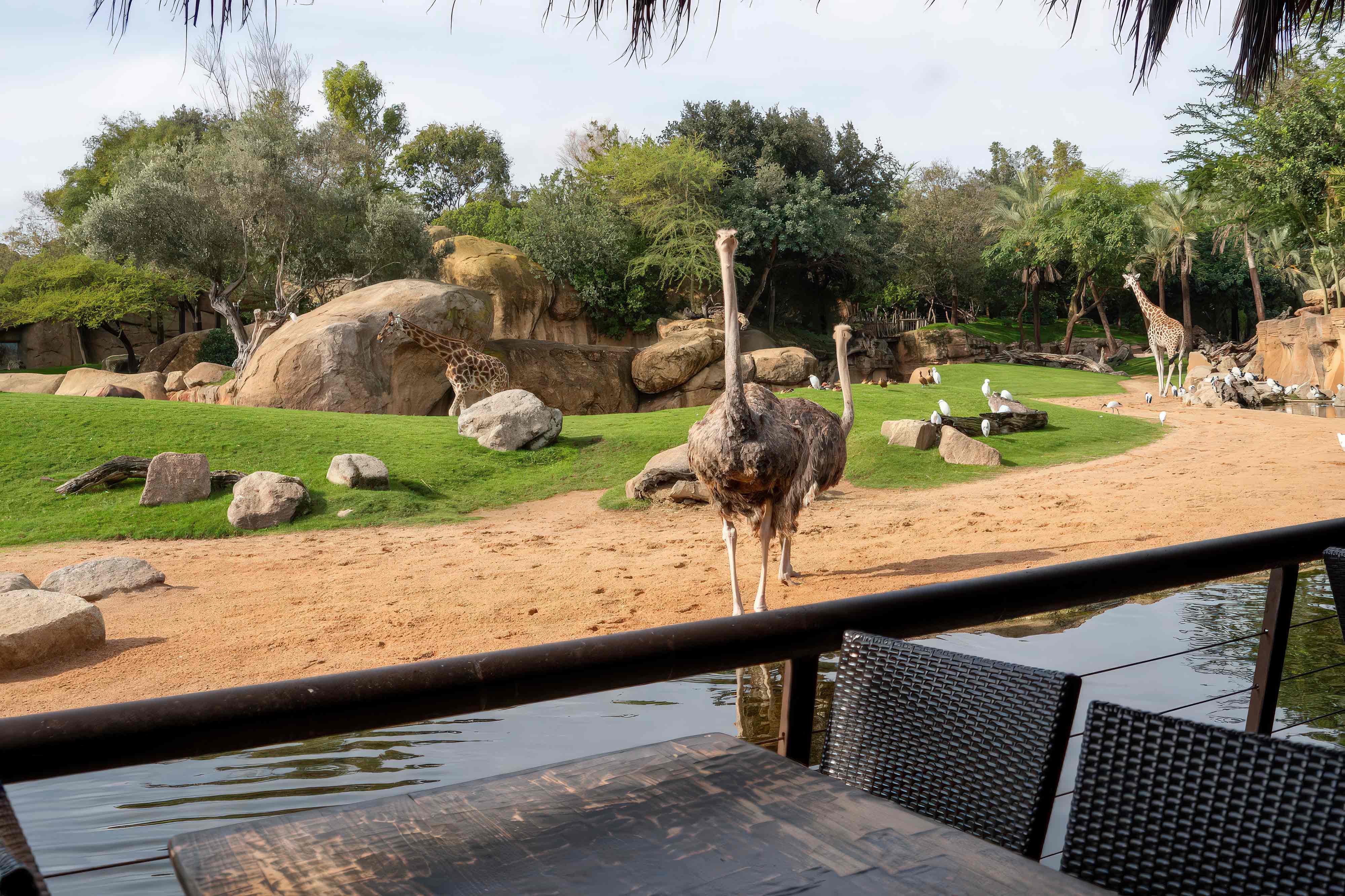 zoological park construction zoological park