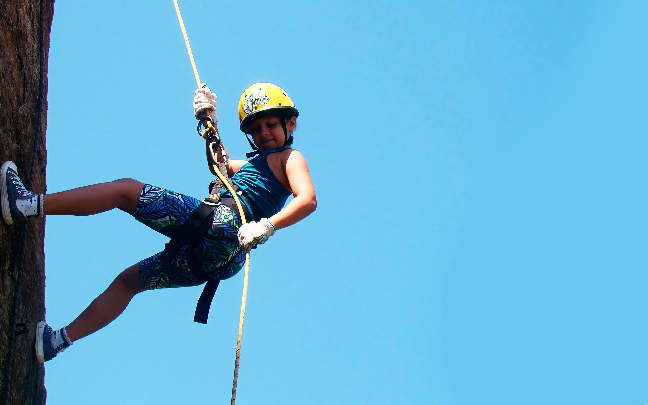 DISEÑO DE PARQUES DE AVENTURAS empresa PARQUES DE AVENTURAS