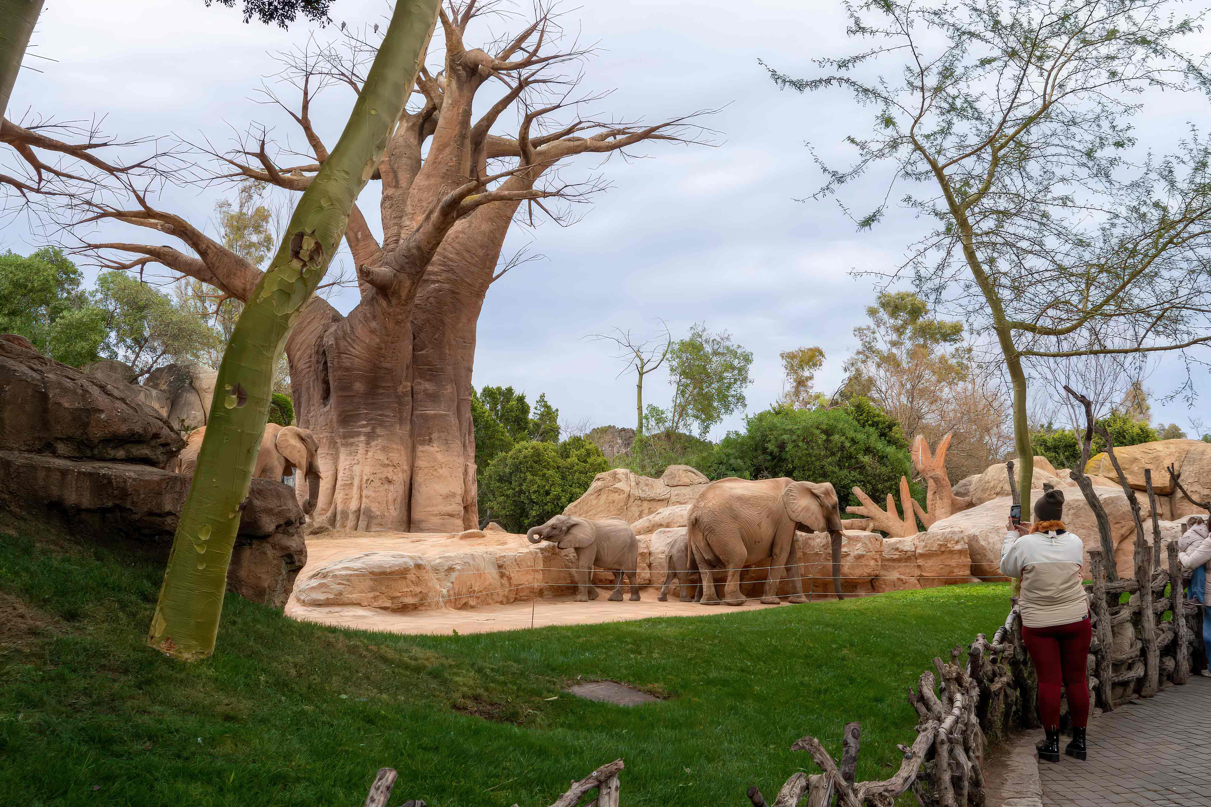construcción de zoológicos temáticos parques zoológicos tematizados