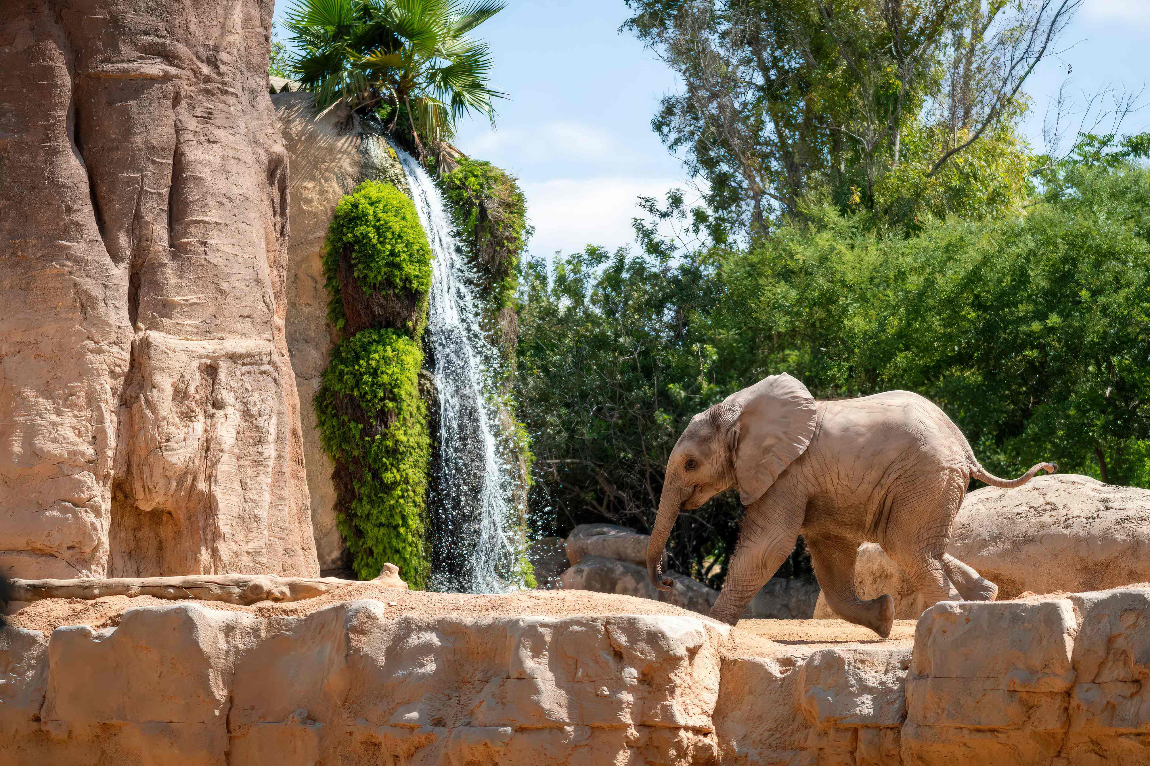 empresas de construcción de parques de animales cómo construir un parque zoológico con tematización