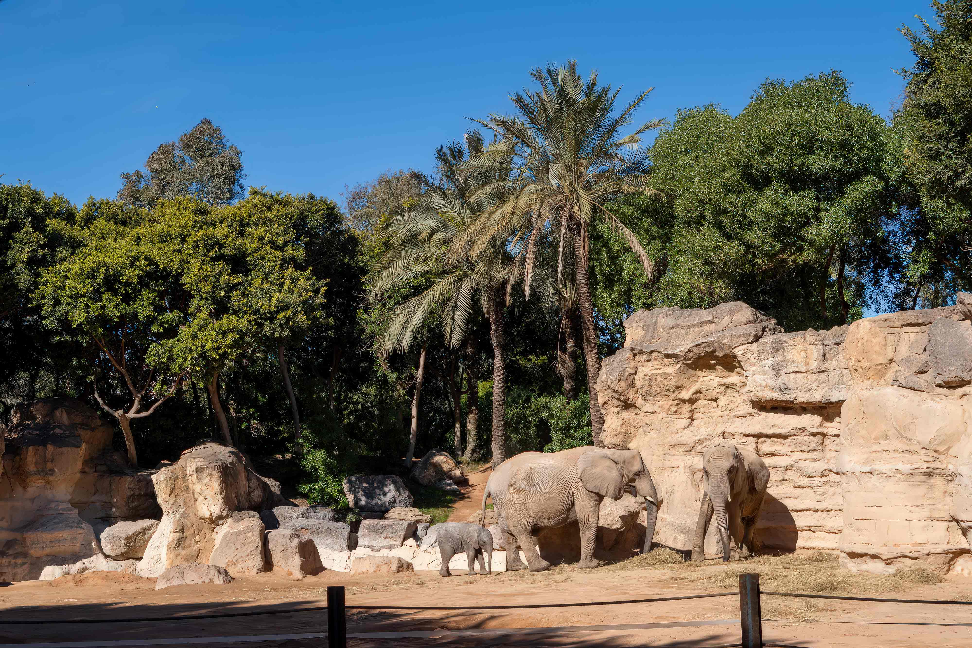 construcción de zoológicos temáticos   parques zoológicos tematizados